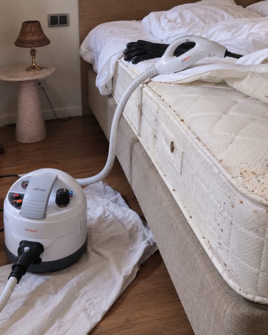 Punaises de lit — Hygiène 3D Services